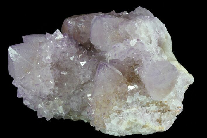 Cactus Quartz (Amethyst) Cluster - South Africa #80015